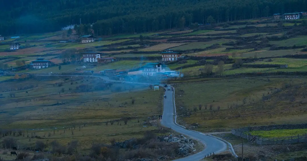 Punakha valley floor transformed into lush green terraced rice paddies during the monsoon planting season